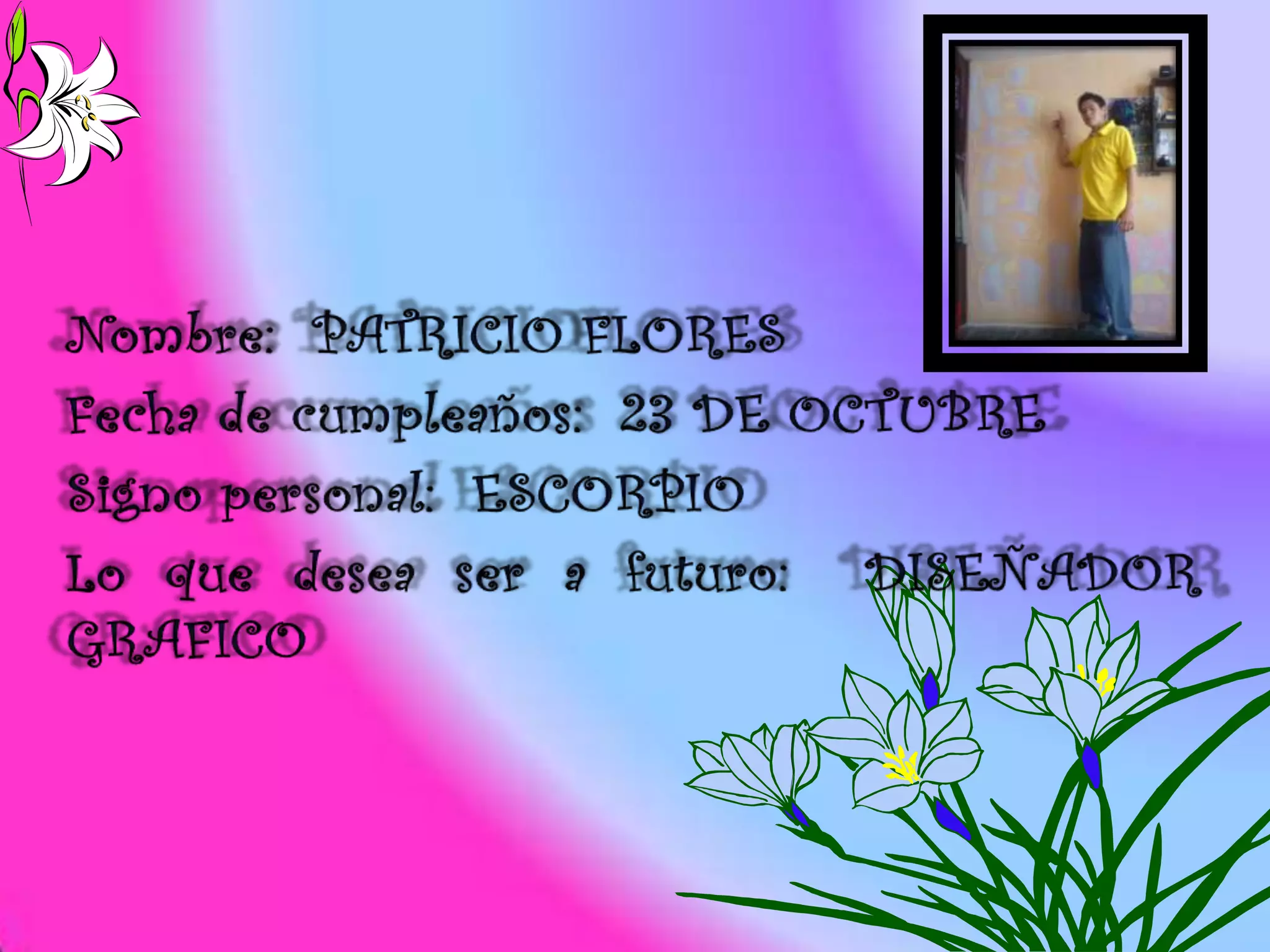 Presentacion power point