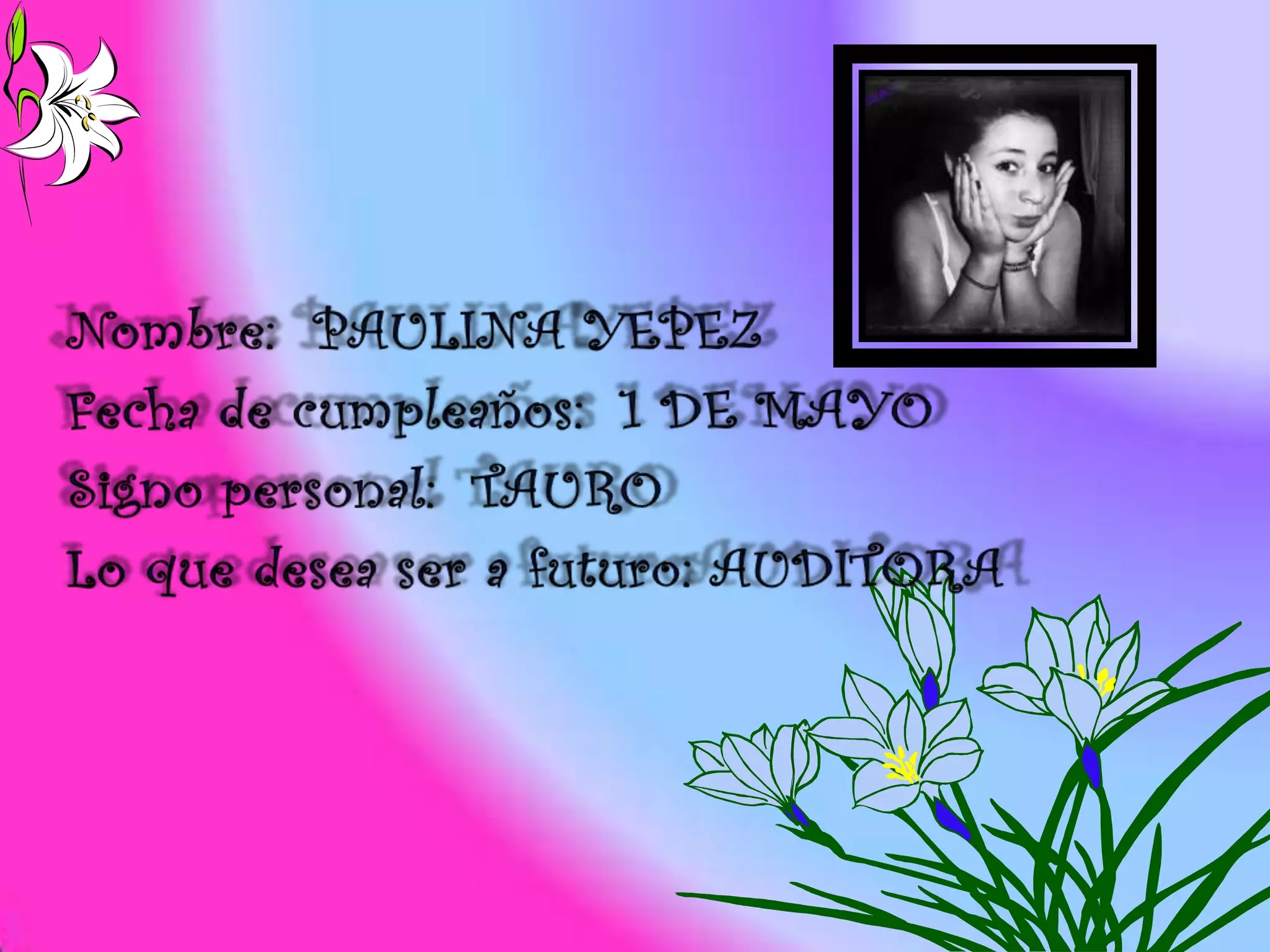 Presentacion power point