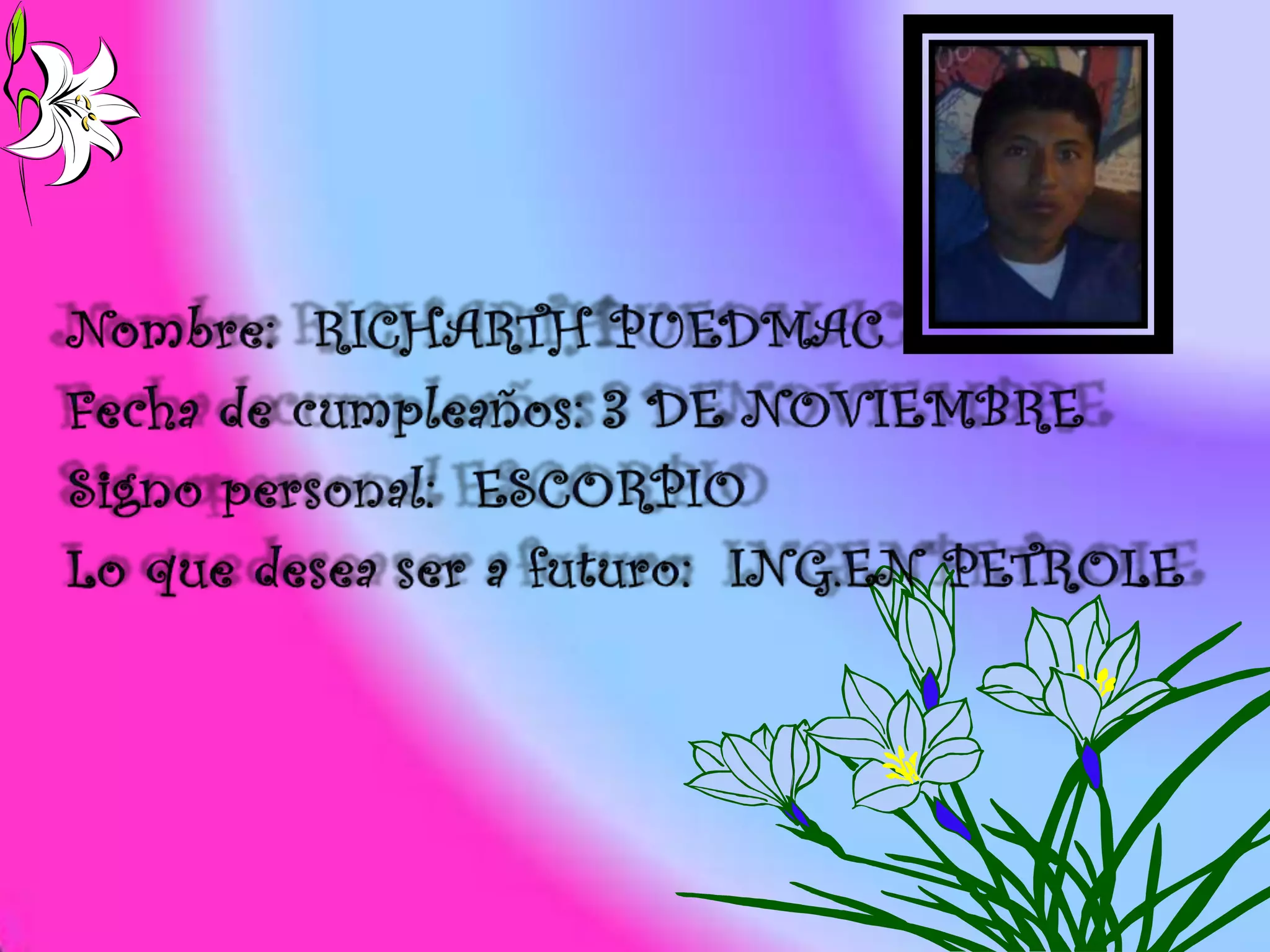 Presentacion power point