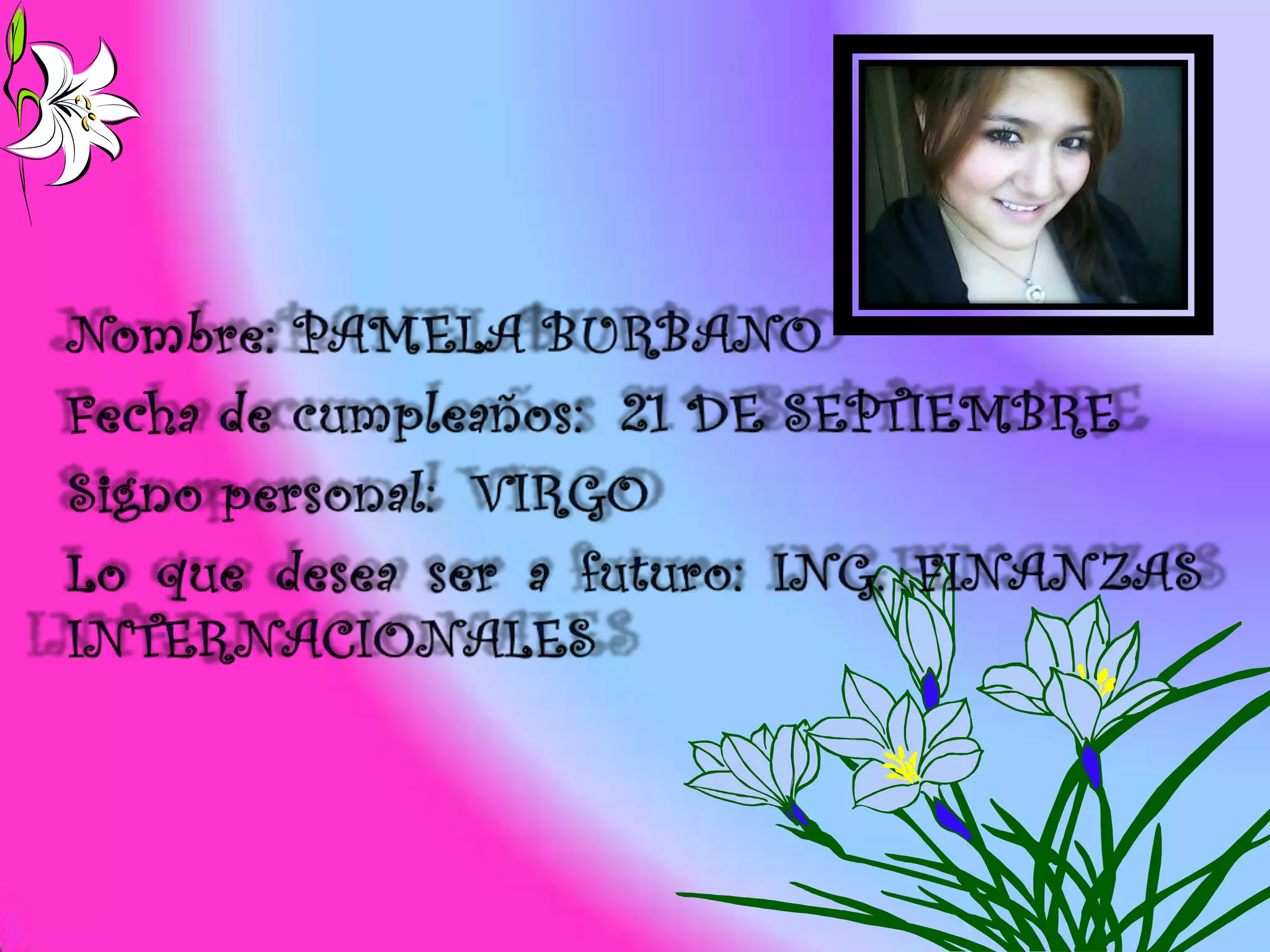 Presentacion power point