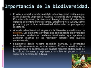 Importancia de la biodiversidad.
 El valor esencial y fundamental de la biodiversidad reside en que
es resultado de un proceso histórico natural de gran antigüedad.
Por esta sola razón, la diversidad biológica tiene el inalienable
derecho de continuar su existencia. El hombre y su cultura, como
producto y parte de esta diversidad, debe velar por protegerla y
respetarla.
 Además la biodiversidad es garante de bienestar y equilibrio en la
biosfera. Los elementos diversos que componen la biodiversidad
conforman verdaderas unidades funcionales, que aportan y
aseguran muchos de los “servicios” básicos para nuestra
supervivencia.
 Finalmente desde nuestra condición humana, la diversidad
también representa un capital natural. El uso y beneficio de la
biodiversidad ha contribuido de muchas maneras al desarrollo de
la cultura humana, y representa una fuente potencial para
subvenir a necesidades futuras.
 