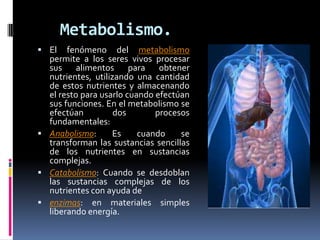 Metabolismo.
 El fenómeno del metabolismo
permite a los seres vivos procesar
sus alimentos para obtener
nutrientes, utilizando una cantidad
de estos nutrientes y almacenando
el resto para usarlo cuando efectúan
sus funciones. En el metabolismo se
efectúan dos procesos
fundamentales:
 Anabolismo: Es cuando se
transforman las sustancias sencillas
de los nutrientes en sustancias
complejas.
 Catabolismo: Cuando se desdoblan
las sustancias complejas de los
nutrientes con ayuda de
 enzimas: en materiales simples
liberando energía.
 