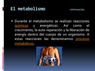 El metabolismo continuación…
 Durante el metabolismo se realizan reacciones
químicas y energéticas. Así como el
crecimiento, la auto reparación y la liberación de
energía dentro del cuerpo de un organismo. A
estas reacciones las denominamos procesos
metabólicos.
 
