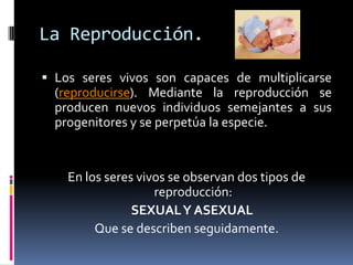 La Reproducción.
 Los seres vivos son capaces de multiplicarse
(reproducirse). Mediante la reproducción se
producen nuevos individuos semejantes a sus
progenitores y se perpetúa la especie.
En los seres vivos se observan dos tipos de
reproducción:
SEXUALY ASEXUAL
Que se describen seguidamente.
 