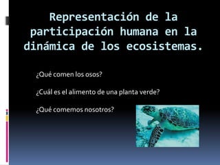 Representación de la
participación humana en la
dinámica de los ecosistemas.
¿Qué comen los osos?
¿Cuál es el alimento de una planta verde?
¿Qué comemos nosotros?
 