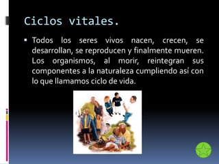 Ciclos vitales.
 Todos los seres vivos nacen, crecen, se
desarrollan, se reproducen y finalmente mueren.
Los organismos, al morir, reintegran sus
componentes a la naturaleza cumpliendo así con
lo que llamamos ciclo de vida.
 