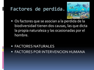 Factores de perdida.
 Os factores que se asocian a la perdida de la
biodiversidad tienen dos causas, las que dicta
la propia naturaleza y las ocasionadas por el
hombre.
 FACTORES NATURALES
 FACTORES POR INTERVENCION HUMANA
 