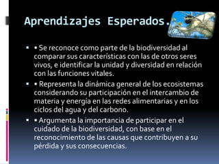 Aprendizajes Esperados.
 • Se reconoce como parte de la biodiversidad al
comparar sus características con las de otros seres
vivos, e identificar la unidad y diversidad en relación
con las funciones vitales.
 • Representa la dinámica general de los ecosistemas
considerando su participación en el intercambio de
materia y energía en las redes alimentarias y en los
ciclos del agua y del carbono.
 • Argumenta la importancia de participar en el
cuidado de la biodiversidad, con base en el
reconocimiento de las causas que contribuyen a su
pérdida y sus consecuencias.
 