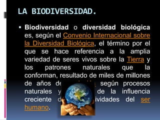 LA BIODIVERSIDAD.
 Biodiversidad o diversidad biológica
es, según el Convenio Internacional sobre
la Diversidad Biológica, el término por el
que se hace referencia a la amplia
variedad de seres vivos sobre la Tierra y
los patrones naturales que la
conforman, resultado de miles de millones
de años de evolución según procesos
naturales y también de la influencia
creciente de las actividades del ser
humano.
 