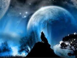 Presentacion power point