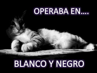 el power point nuestro de cada día