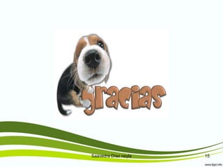 Saavedra Díaz neyla 15
 