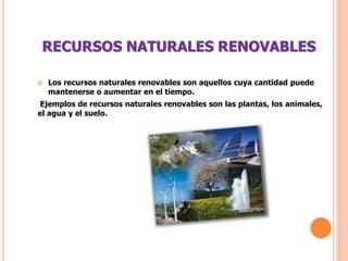 RECURSOS NATURALES RENOVABLES
 Los recursos naturales renovables son aquellos cuya cantidad puede
mantenerse o aumentar en el tiempo.
Ejemplos de recursos naturales renovables son las plantas, los animales,
el agua y el suelo.
 