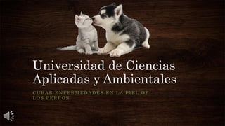 Universidad de Ciencias
Aplicadas y Ambientales
CURAR ENFERMEDADES EN LA PIEL DE
LOS PERROS
 