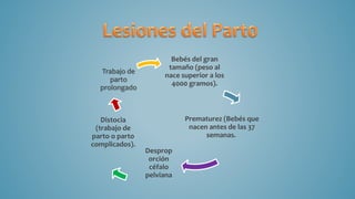 Bebés del gran
tamaño (peso al
nace superior a los
4000 gramos).
Prematurez (Bebés que
nacen antes de las 37
semanas.
Desprop
orción
céfalo
pelviana
Distocia
(trabajo de
parto o parto
complicados).
Trabajo de
parto
prolongado
 