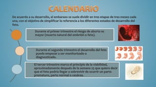 De acuerdo a su desarrollo, el embarazo se suele dividir en tres etapas de tres meses cada
una, con el objetivo de simplificar la referencia a los diferentes estados de desarrollo del
feto.
Durante el primer trimestre el riesgo de aborto es
mayor (muerte natural del embrión o feto).
Durante el segundo trimestre el desarrollo del feto
puede empezar a ser monitorizado o
diagnosticado.
El tercer trimestre marca el principio de la viabilidad,
aproximadamente después de la semana 25 que quiere decir
que el feto podría llegar a sobrevivir de ocurrir un parto
prematuro, parto normal o cesárea.
 