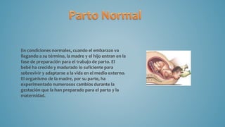 En condiciones normales, cuando el embarazo va
llegando a su término, la madre y el hijo entran en la
fase de preparación para el trabajo de parto. El
bebé ha crecido y madurado lo suficiente para
sobrevivir y adaptarse a la vida en el medio externo.
El organismo de la madre, por su parte, ha
experimentado numerosos cambios durante la
gestación que la han preparado para el parto y la
maternidad.
 