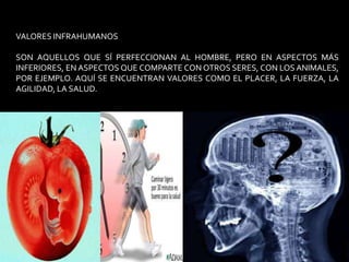 VALORES INFRAHUMANOSSON AQUELLOS QUE SÍ PERFECCIONAN AL HOMBRE, PERO EN ASPECTOS MÁS INFERIORES, EN ASPECTOS QUE COMPARTE CON OTROS SERES, CON LOS ANIMALES, POR EJEMPLO. AQUÍ SE ENCUENTRAN VALORES COMO EL PLACER, LA FUERZA, LA AGILIDAD, LA SALUD.