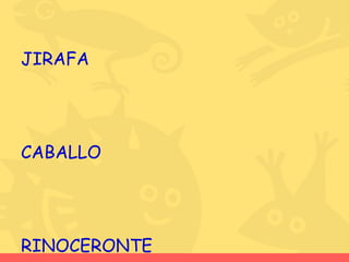 JIRAFA CABALLO RINOCERONTE 