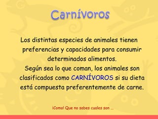 Los distintas especies de animales tienen preferencias y capacidades para consumir determinados alimentos. Según sea lo que coman, los animales son clasificados como  CARNÍVOROS  si su dieta está compuesta preferentemente de carne .  ¡Como! Que no sabes cuales son ... 