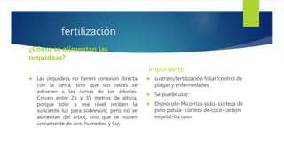 fertilización
¿Cómo se alimentan las
orquídeas?
 Las orquídeas no tienen conexión directa
con la tierra, sino que sus raíces se
adhieren a las ramas de los árboles.
Crecen entre 25 y 35 metros de altura,
porque sólo a ese nivel reciben la
suficiente luz para sobrevivir; pero no se
alimentan del árbol, sino que se nutren
únicamente de aire, humedad y luz.
importante
 sustrato/fertilización foliar/control de
plagas y enfermedades.
 Se puede usar:
 Osmocote-Micorriza-palo- corteza de
pino patula- corteza de coco-carbón
vegetal-hicopor
 