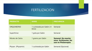 FERTILIZACION
PRODUCTO DOSIS FRECUENCIA
ORQUIABONO 1 cucharada por Galón ( 4
litros)
Semanal
Superthrive 1 gota por Galón Semanal
Nitrato de Calcio 1 gramo por Galón Semanal. No mezclar
otros fertilizantes, No
usar en Phalaenopsis
Physan (Physamin) 1 cucharada por Galón Semanal (Opcional)
 