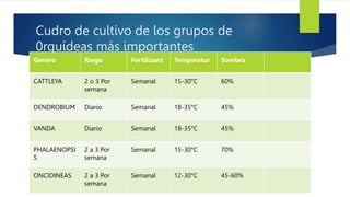 Cudro de cultivo de los grupos de
0rquídeas más importantes
Genero Riego Fertilizant Temperatur Sombra
CATTLEYA 2 o 3 Por
semana
Semanal 15-30°C 60%
DENDROBIUM Diario Semanal 18-35°C 45%
VANDA Diario Semanal 18-35°C 45%
PHALAENOPSI
S
2 a 3 Por
semana
Semanal 15-30°C 70%
ONCIDINEAS 2 a 3 Por
semana
Semanal 12-30°C 45-60%
 