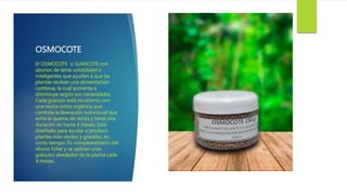 OSMOCOTE
El OSMOCOTE o SUMICOTE son
abonos de lenta solubilidad e
inteligentes que ayudan a que las
plantas reciban una alimentación
continua, la cual aumenta o
disminuye según sus necesidades.
Cada gránulo está recubierto con
una resina única orgánica que
controla la liberación nutricional que
evita la quema de raíces y tiene una
duración de hasta 4 meses. Está
diseñado para ayudar a producir
plantas más verdes y grandes, en
corto tiempo. Es complementario del
abono foliar y se aplican unas
gránulos alrededor de la planta cada
4 meses.
 