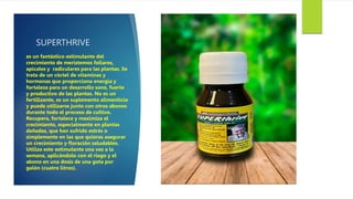 SUPERTHRIVE
es un fantástico estimulante del
crecimiento de meristemos foliares,
apicales y radiculares para las plantas. Se
trata de un cóctel de vitaminas y
hormonas que proporciona energía y
fortaleza para un desarrollo sano, fuerte
y productivo de las plantas. No es un
fertilizante, es un suplemento alimenticio
y puede utilizarse junto con otros abonos
durante todo el proceso de cultivo.
Recupera, fortalece y maximiza el
crecimiento, especialmente en plantas
dañadas, que han sufrido estrés o
simplemente en las que quieras asegurar
un crecimiento y floración saludables.
Utiliza este estimulante una vez a la
semana, aplicándolo con el riego y el
abono en una dosis de una gota por
galón (cuatro litros).
 