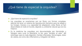 ¿Qué tiene de especial la orquídea?
 ¿Qué tiene de especial la orquídea?
 Las orquídeas se caracterizan por ser flores con formas complejas,
además de tener un sistema de reproducción llamativo para las abejas y
los hongos. Gracias a su capacidad de adaptación, estas flores se han
desarrollado en todo el mundo, dejando su ambiente natural que era los
trópicos.
 En la medicina las orquídeas son documentadas por Hernández y
Sahagún para curar la disentería, la tos, para “templar el calor” del
estómago, para la mala digestión, heridas infectadas, hemorragias, dolor
de cabeza, así como des inflamatorio y mitigador de fiebre.
 