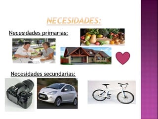 Necesidades primarias:
Necesidades secundarias:
