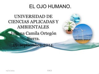 EL OJO HUMANO. 
UNIVERSIDAD DE 
CIENCIAS APLICADAS Y 
AMBIENTALES. 
Juliana Camila Ortegón 
Sierra. 
15- septiembre-2014. 
04/11/2014 UDCA 
 
