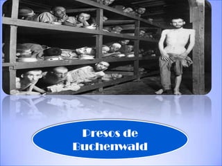 Presos de
Buchenwald
 