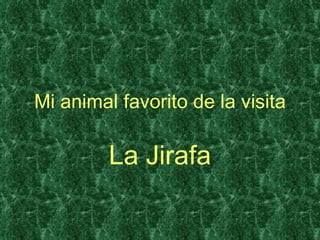 Mi animal favorito de la visita La Jirafa 