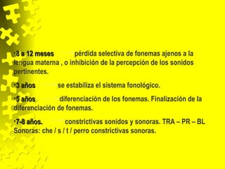 •8 a 12 meses8 a 12 meses pérdida selectiva de fonemas ajenos a la
lengua materna , o inhibición de la percepción de los sonidos
pertinentes.
•3 años3 años se estabiliza el sistema fonológico.
•5 años5 años diferenciación de los fonemas. Finalización de la
diferenciación de fonemas.
•7-8 años.7-8 años. constrictivas sonidos y sonoras. TRA – PR – BL
Sonoras: che / s / t / perro constrictivas sonoras.
 