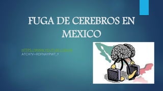 FUGA DE CEREBROS EN
MEXICO
HTTPS://WWW.YOUTUBE.COM/W
ATCH?V=RDFNAYPWT_Y
 