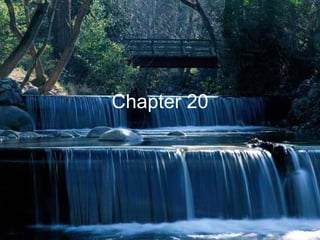 Chapter 20
 