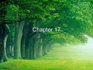 Chapter 17
 