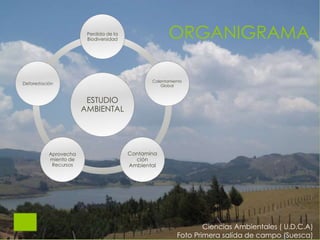 ORGANIGRAMA
ESTUDIO
AMBIENTAL
Perdida de la
Biodiversidad
Calentamiento
Global
Contamina
ción
Ambiental
Aprovecha
miento de
Recursos
Deforestación
Ciencias Ambientales ( U.D.C.A)
Foto Primera salída de campo (Suesca)
 