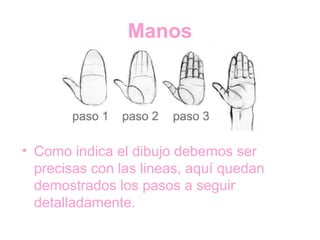 Manos
• Como indica el dibujo debemos ser
precisas con las lineas, aquí quedan
demostrados los pasos a seguir
detalladamente.
 