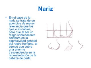 Nariz
• En el caso de la
nariz se trata de un
apéndice de menor
relevancia que los
ojos o los labios,
pero que al ser un
rasgo sobresaliente
colabora en la
expresividad general
del rostro humano, al
tiempo que cobra
una enorme
trascendencia en la
representación de la
cabeza de perfil.
 