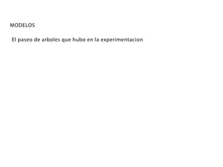 MODELOS
El paseo de arboles que hubo en la experimentacion
 
