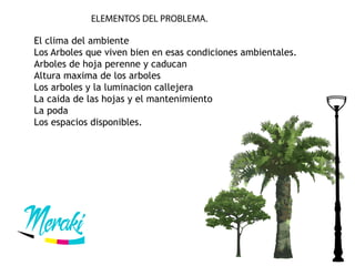 ELEMENTOS DEL PROBLEMA.
El clima del ambiente
Los Arboles que viven bien en esas condiciones ambientales.
Arboles de hoja perenne y caducan
Altura maxima de los arboles
Los arboles y la luminacion callejera
La caida de las hojas y el mantenimiento
La poda
Los espacios disponibles.
 