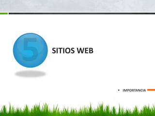 SITIOS WEB 
 IMPORTANCIA 
 