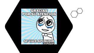 presentacion practica 4.pptx sanidad ani