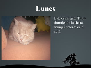   
Lunes
   Este es mi gato Tintín 
durmiendo la siesta 
tranquilamente en el 
sofá.
 