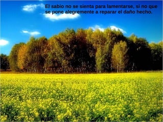 El sabio no se sienta para lamentarse, si no que
se pone alegremente a reparar el daño hecho.
 
