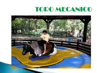TORO MECANICO