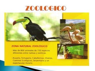 ZOOLOGICO