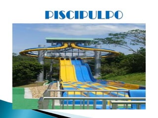 PISCIPULPO